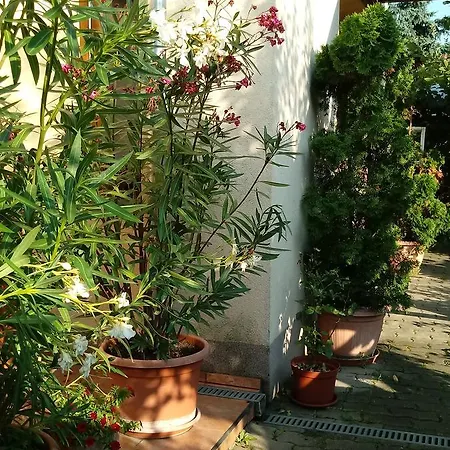 Avar Vendeghaz Pensionat Sopron
